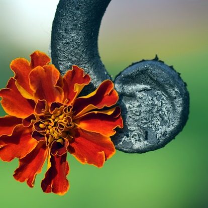 Abschied am Grab Eine leuchtend orangefarbene Blume neben einem geschwungenen, metallischen Element.