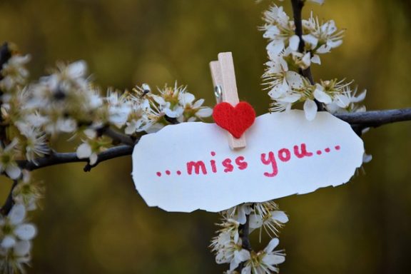Weißes Schild mit rotem Herz und der Aufschrift „...miss you...“, an einem blühenden Zweig.