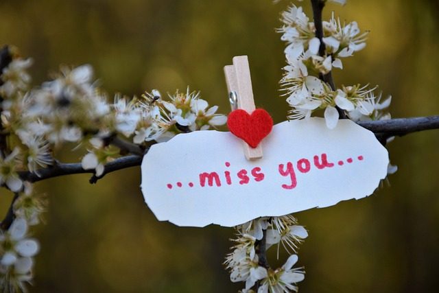 Ein herzförmiges Symbol und ein Schild mit der Aufschrift „...miss you...“ an Blütenzweigen.