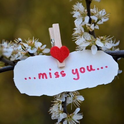 Ein Schild mit der Aufschrift „...miss you...“ hängt an einem blühenden Zweig.