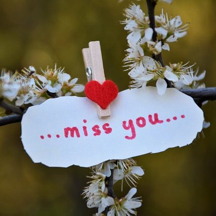Ein Herzchen mit der Aufschrift „...miss you...“ an einem blühenden Ast befestigt.