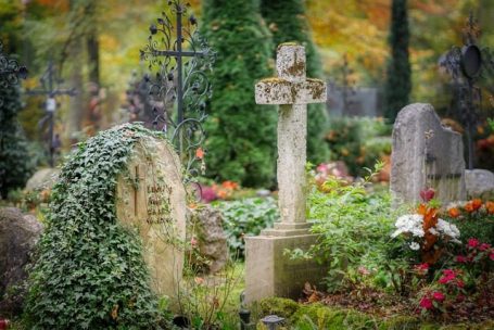Alter Friedhof mit Steinkreuzen und blühenden Pflanzen im herbstlichen Licht.